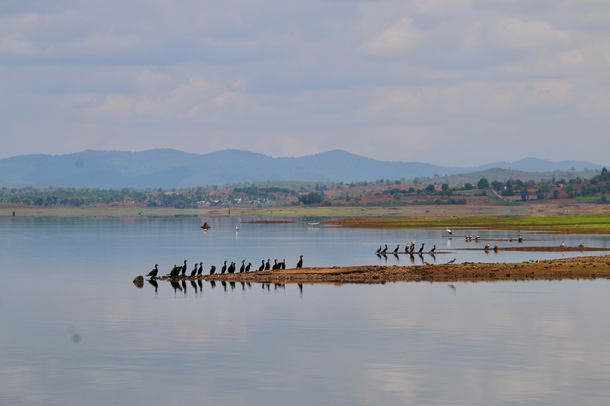 Kabini--Into-the-Wild Kabini--Into-the-Wild