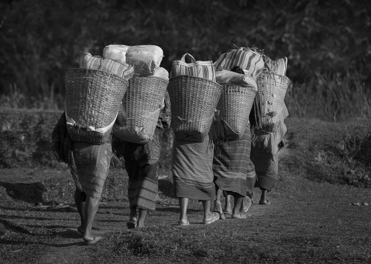 A-Culture-Rooted-in-Respect A-Culture-Rooted-in-Respect