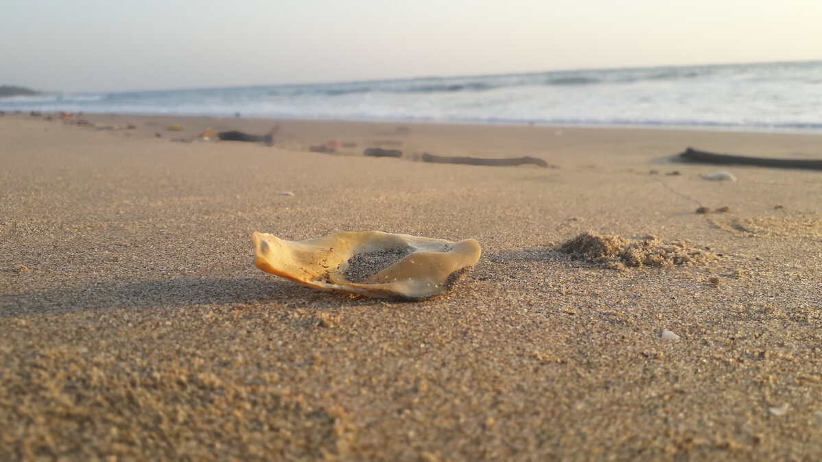 Achara-Beach