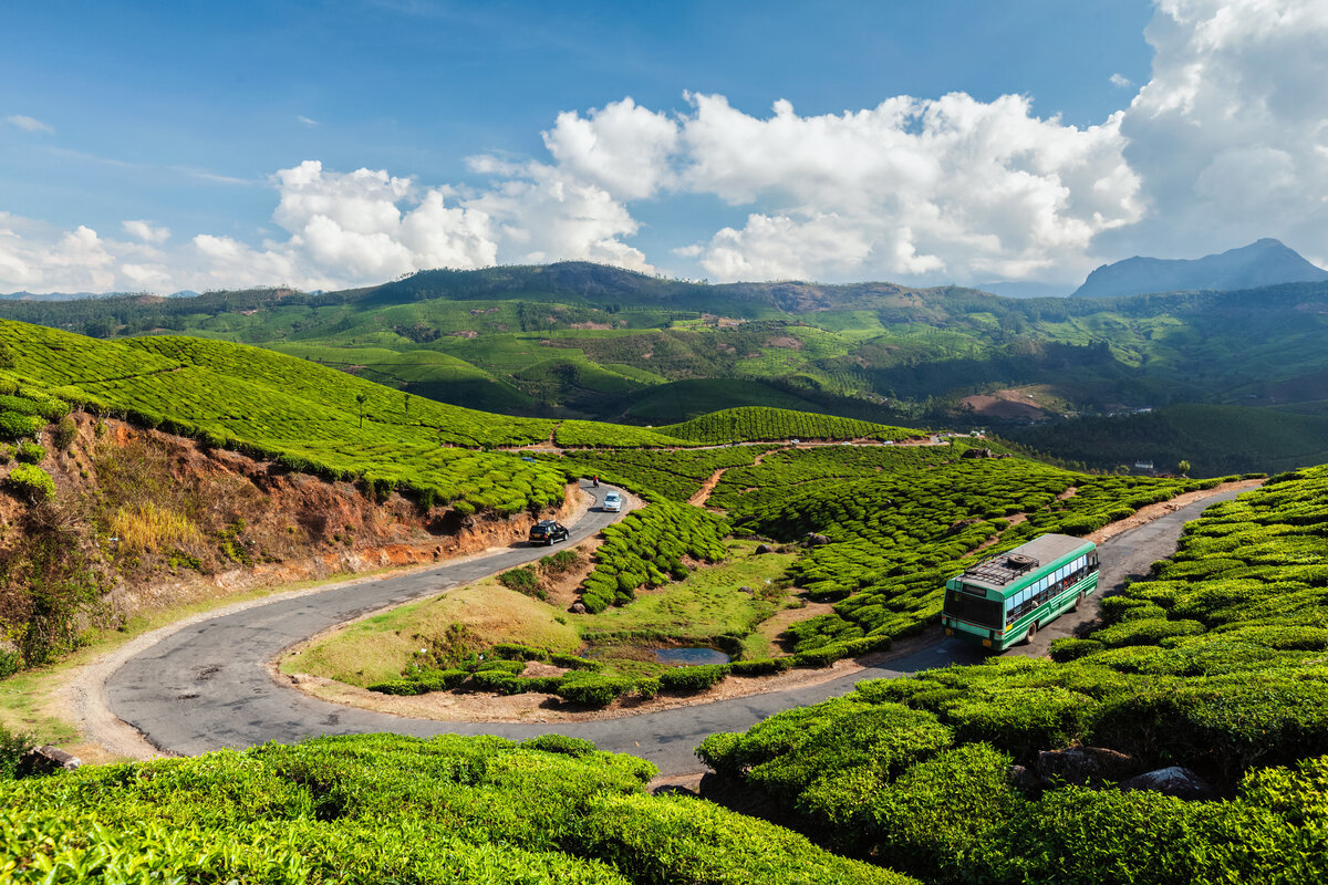 Bangalore to Munnar: The Distance and the Drive