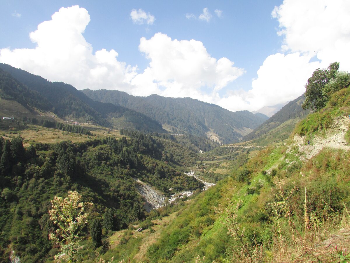 Barot