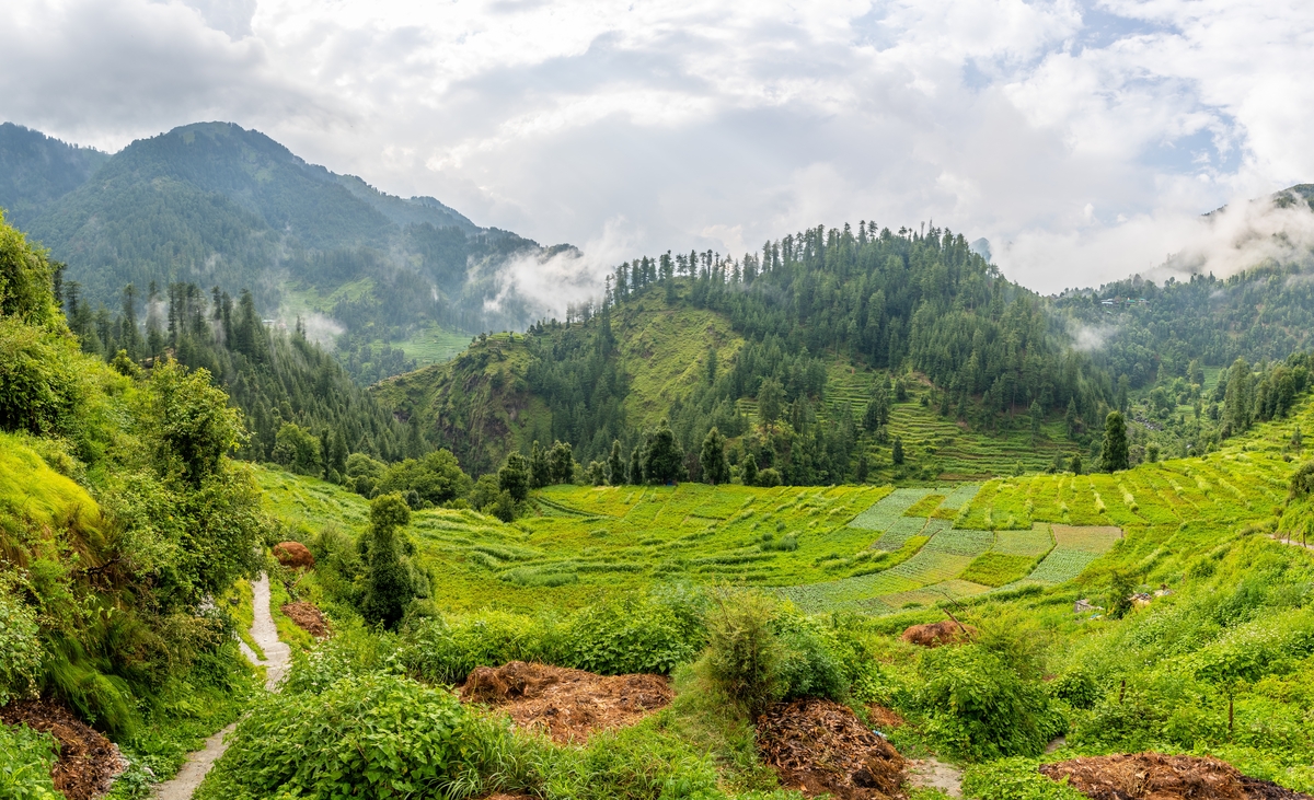 Best-Time-to-Visit-Barot-Valley Best-Time-to-Visit-Barot-Valley