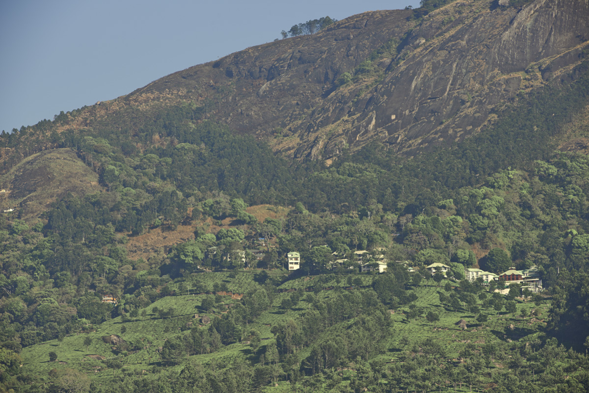 Best-Time-to-Visit-Munnar-and-Club-Mahindra-Munnar