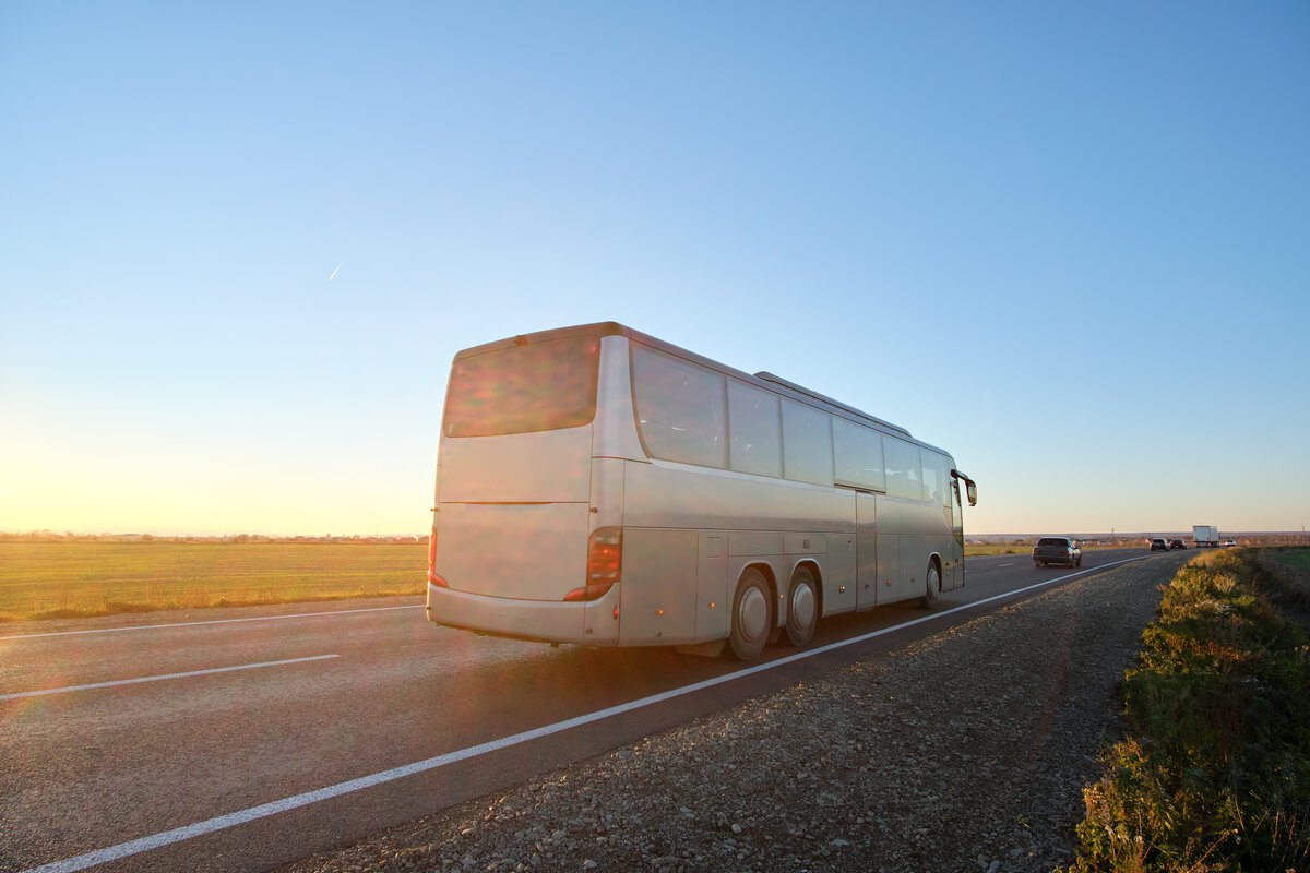 By-Bus
