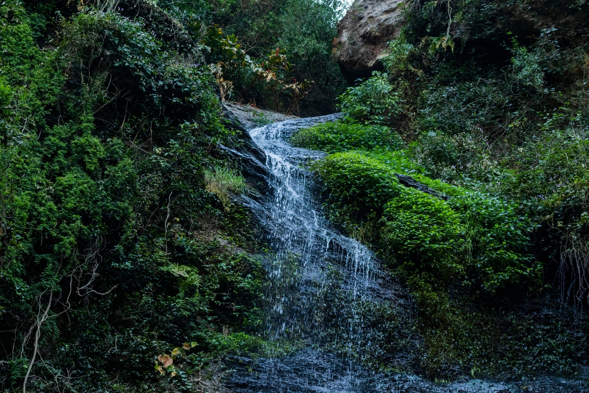 Chadwick-Falls