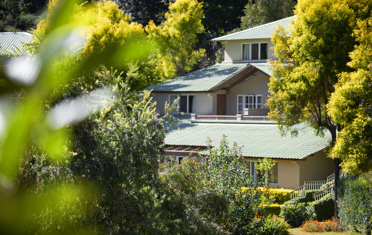 Club-Mahindra-Binsar-Villa-Almora--Forest-Rejuvenation-in-Tree-Log-Huts