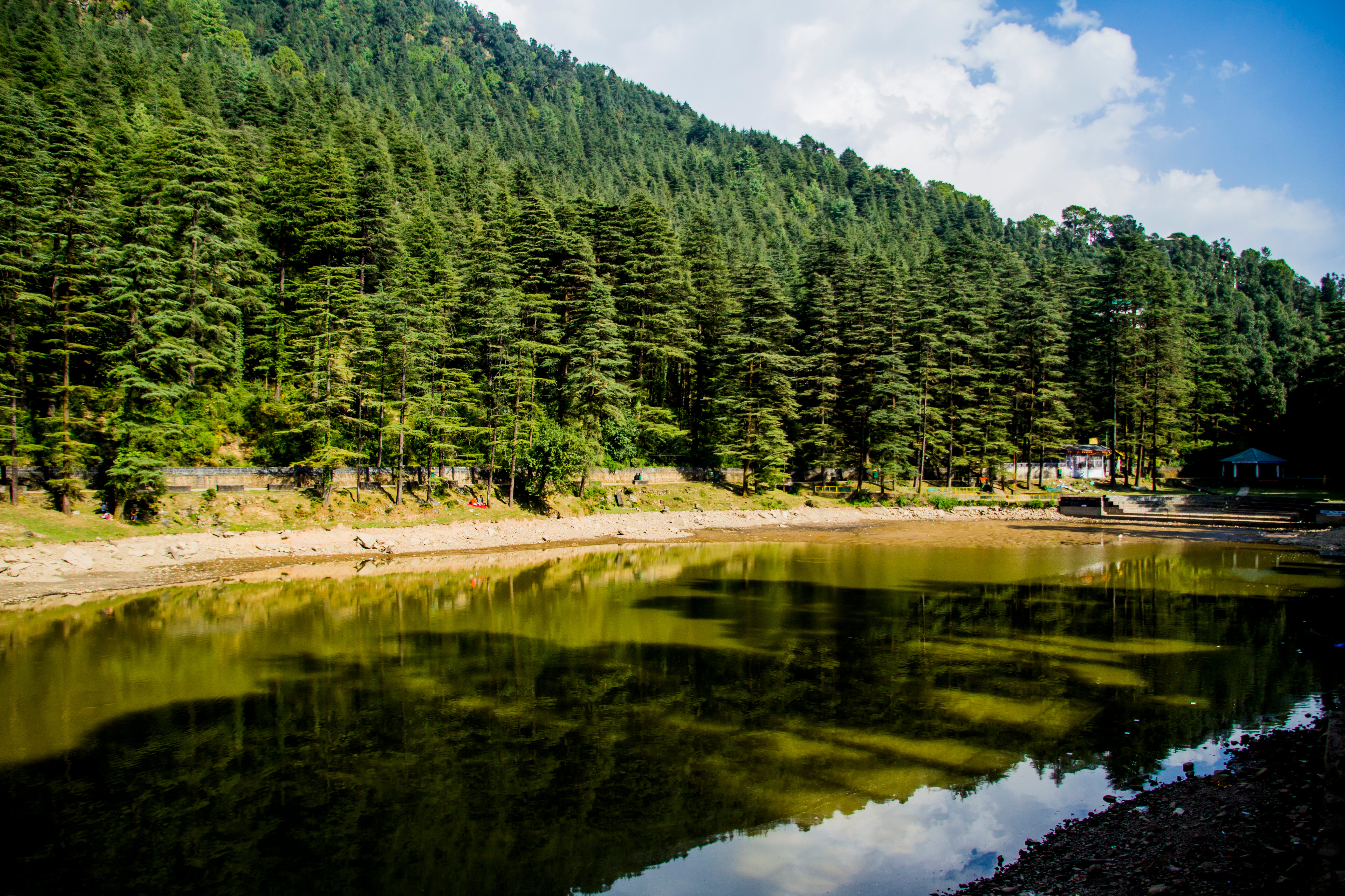 Dal Lake- A Calm Escape