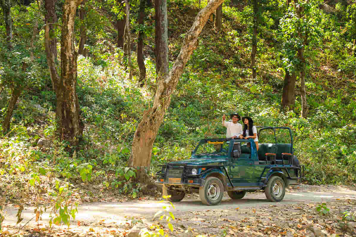 Day Trips and Local Exploration in Patkote