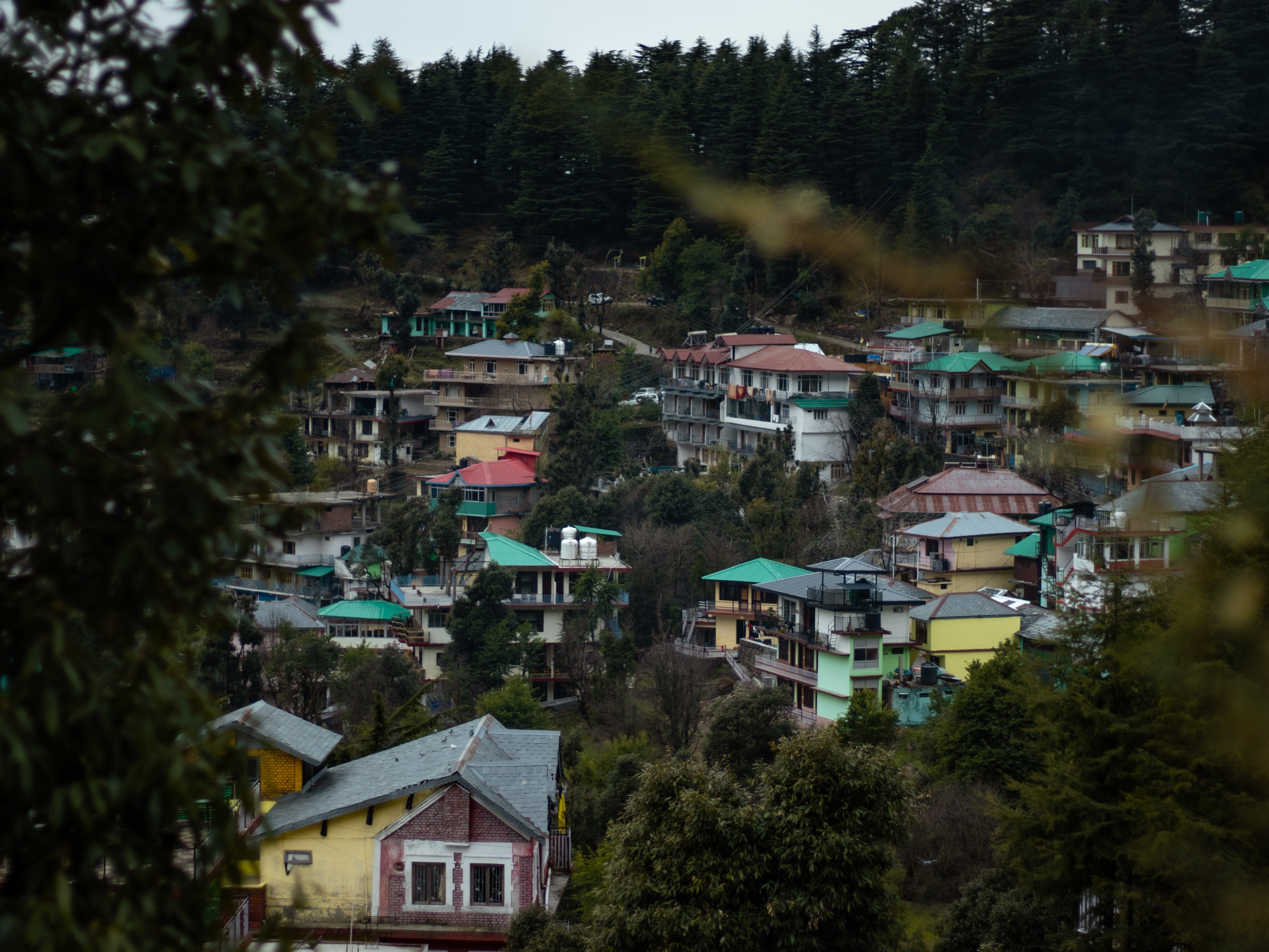 Dharamkot- The Hippie Hamlet
