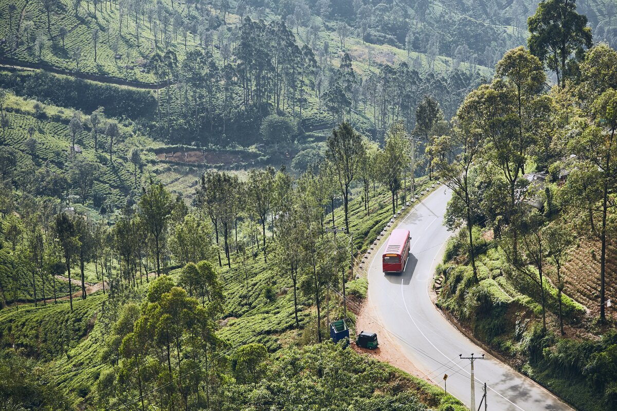 Essential Travel Tips for a Smooth Bangalore to Munnar Journey