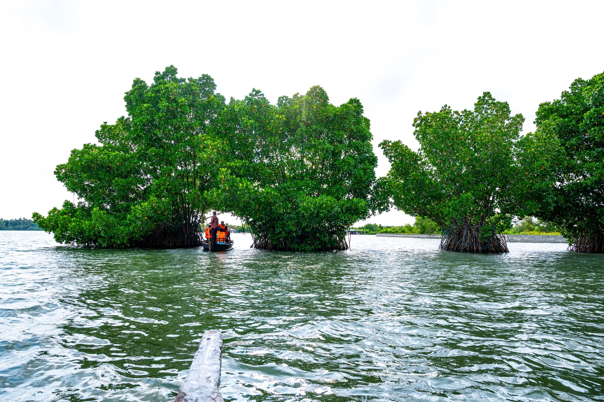 Exploring-Beyond-the-Resort