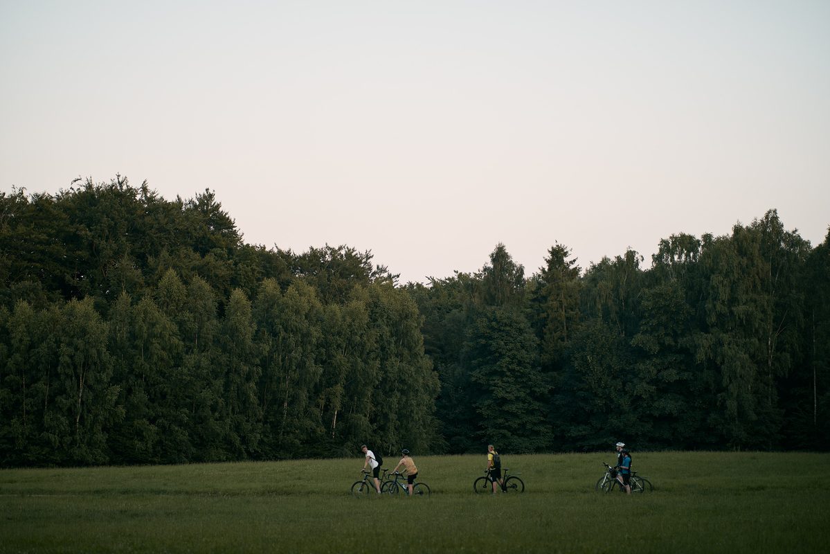 Forest-Adventures-Things-to-Do-and-Places-to-See