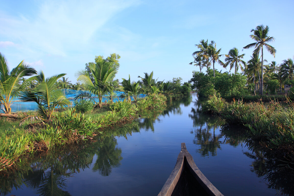 Ashtamudi Kerala’s Eight-armed Lake