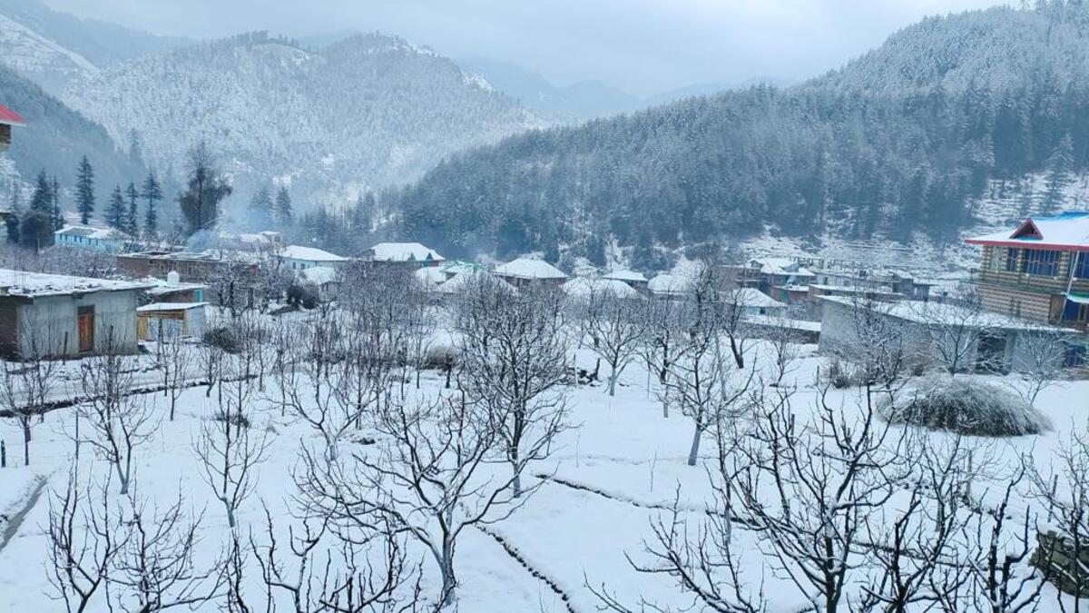 Janjehli-A-Blend-of-Scenic-Beauty-and-Local-Charm