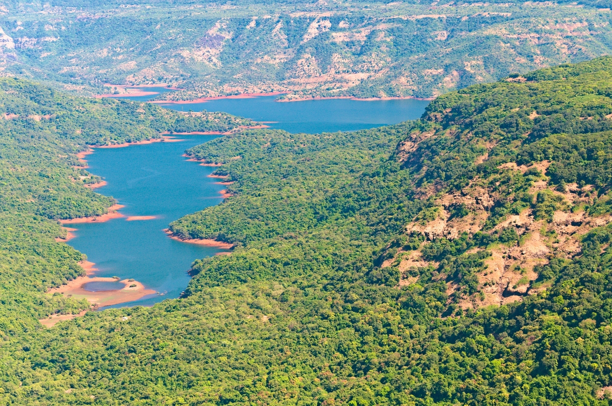 Koyna--For-Lakeside-Calm-and-Forest-Trails