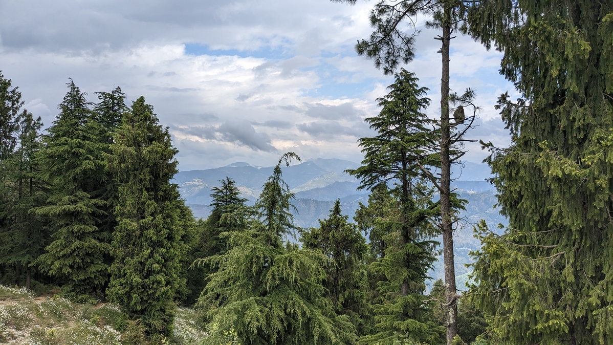 Must-visit-spots-nearby-include
