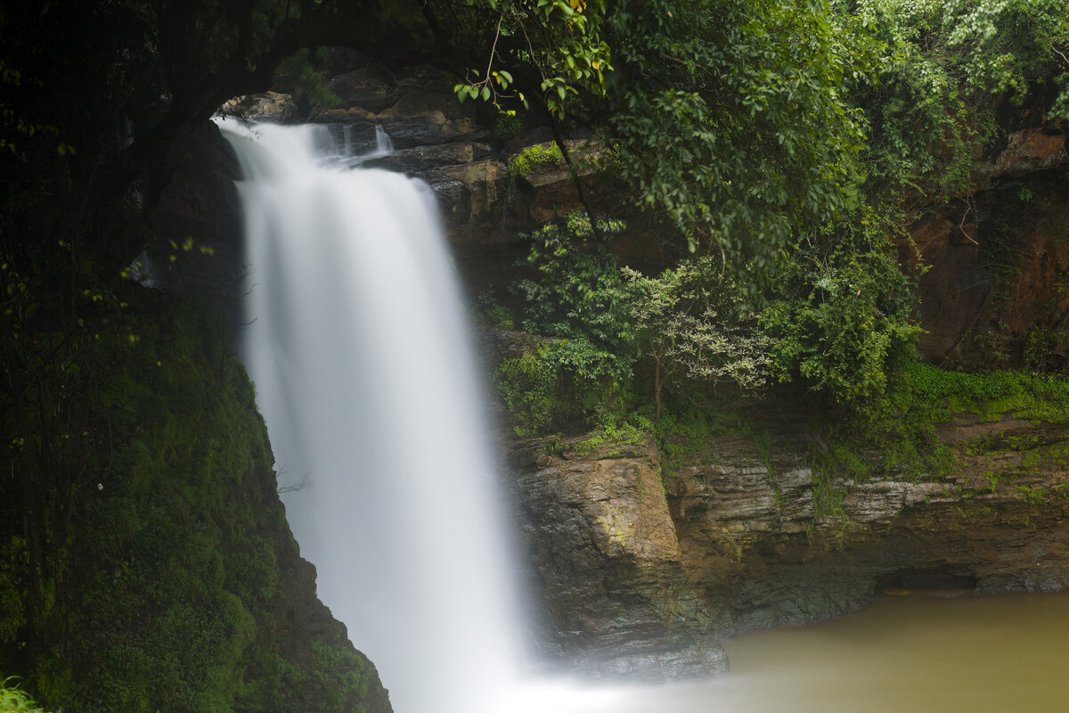 Offbeat-Nature-Escapes--Wildlife-Sanctuaries