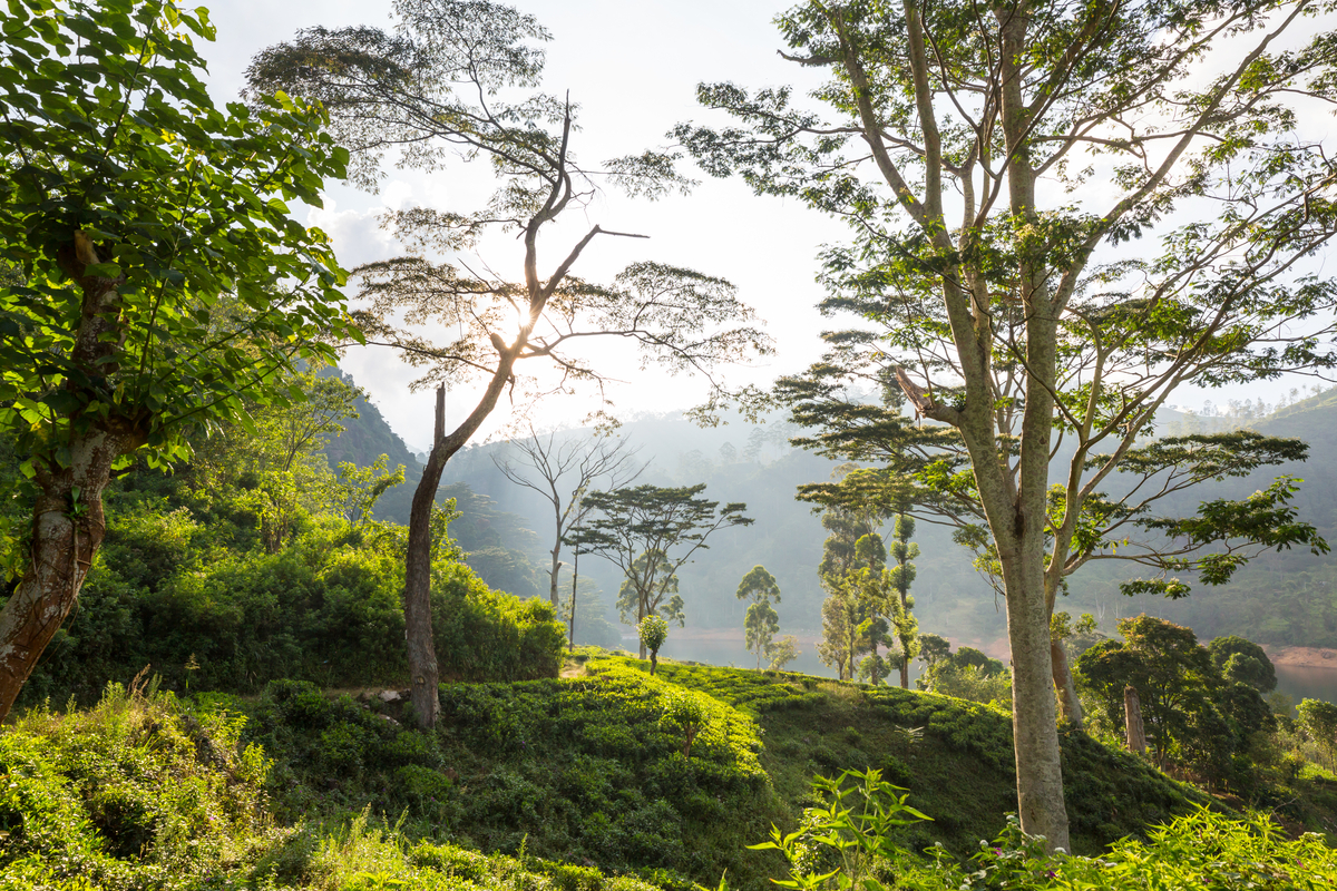 Peru