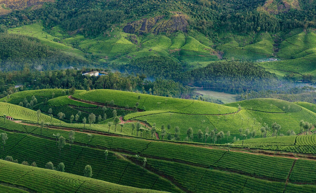 Places-to-Visit-in-Kerala-Depending-on-Your-Route