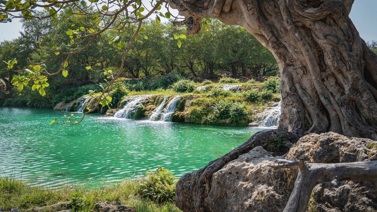 Salalah--Where-the-Monsoon-Meets-the-Desert