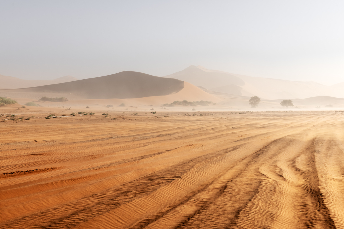 The-Empty-Quarter--The-Silence-of-Rub_-al-Khali