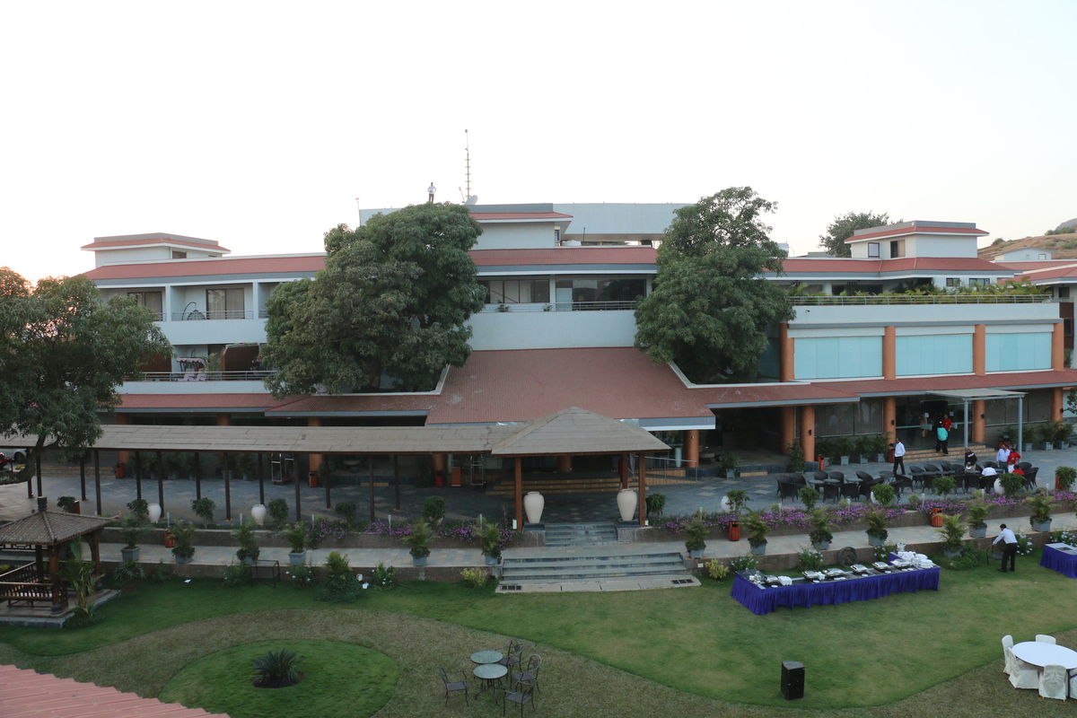 The-Quiet-Pulse-of-Celebration The-Quiet-Pulse-of-Celebration