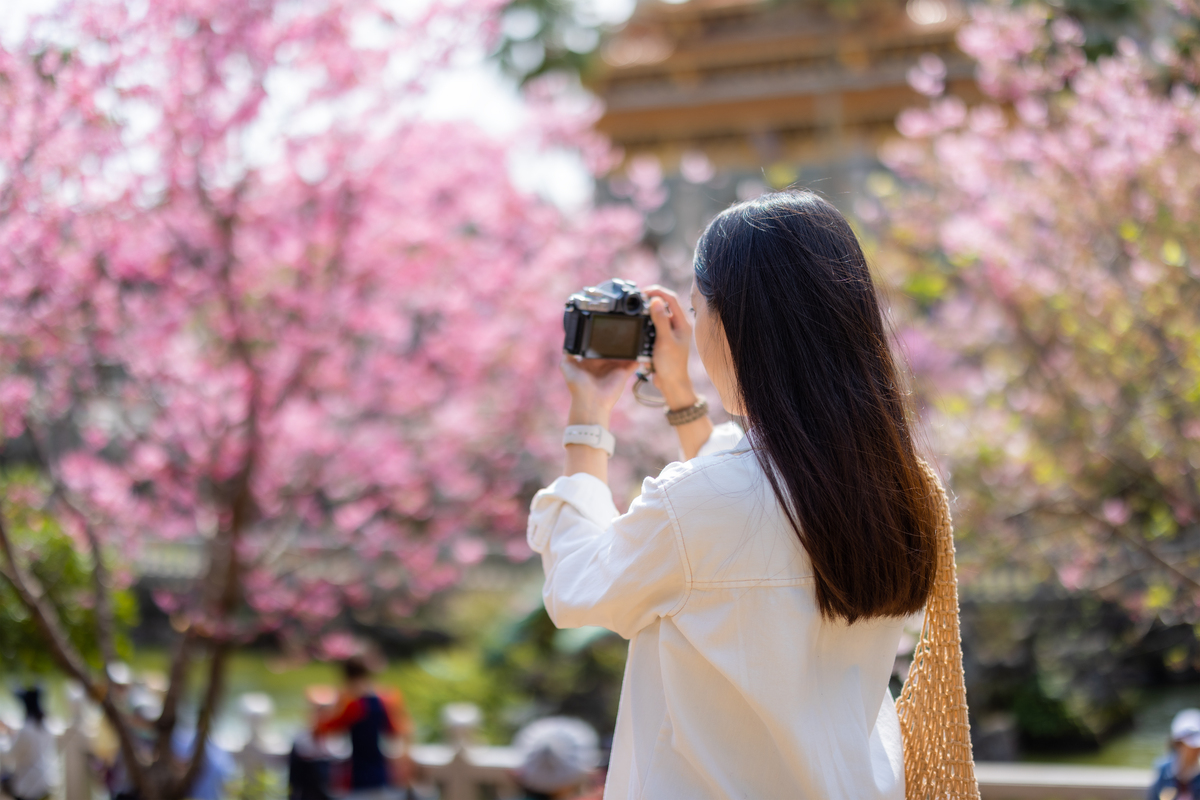 Travel-Tips--Insider-Advice