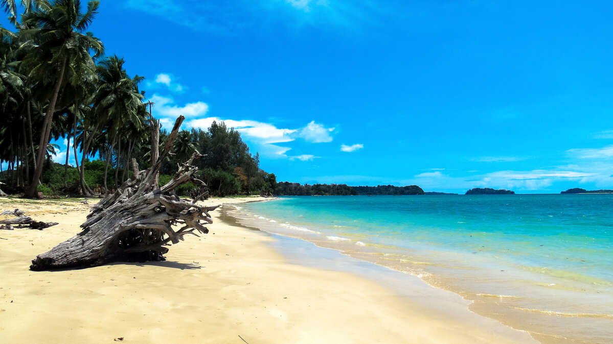 Tsunami-Island