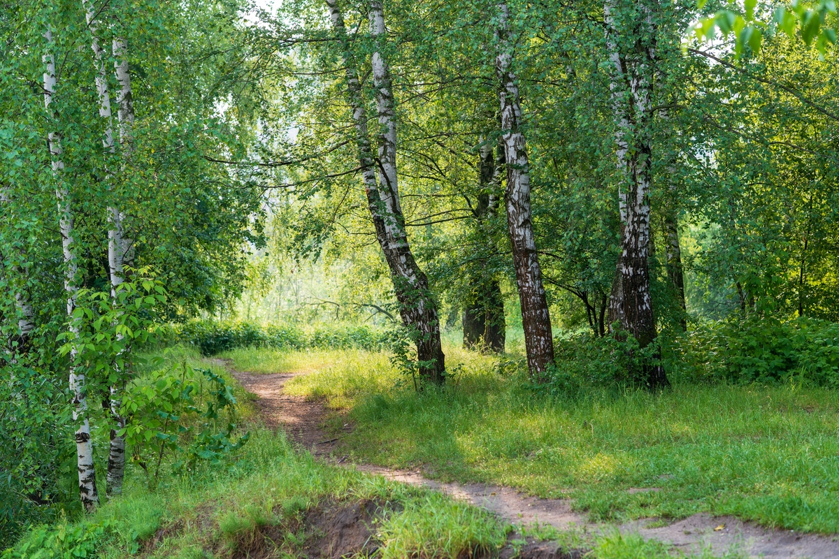 Why-This-Route-Still-Matters