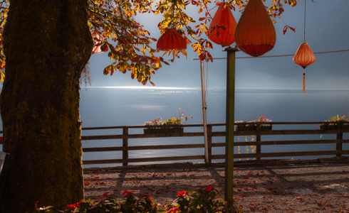 Things to do in Ooty - Trekking in Ooty