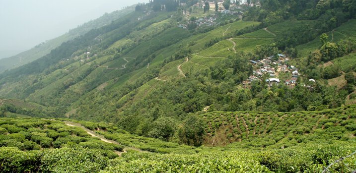 itinerary for darjeeling