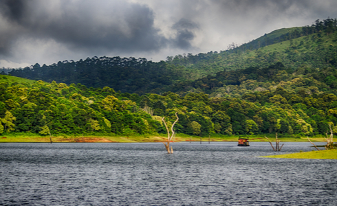 Periyar Tiger Reserve