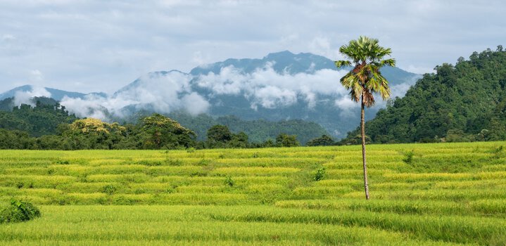 Arunachal Pradesh attractions