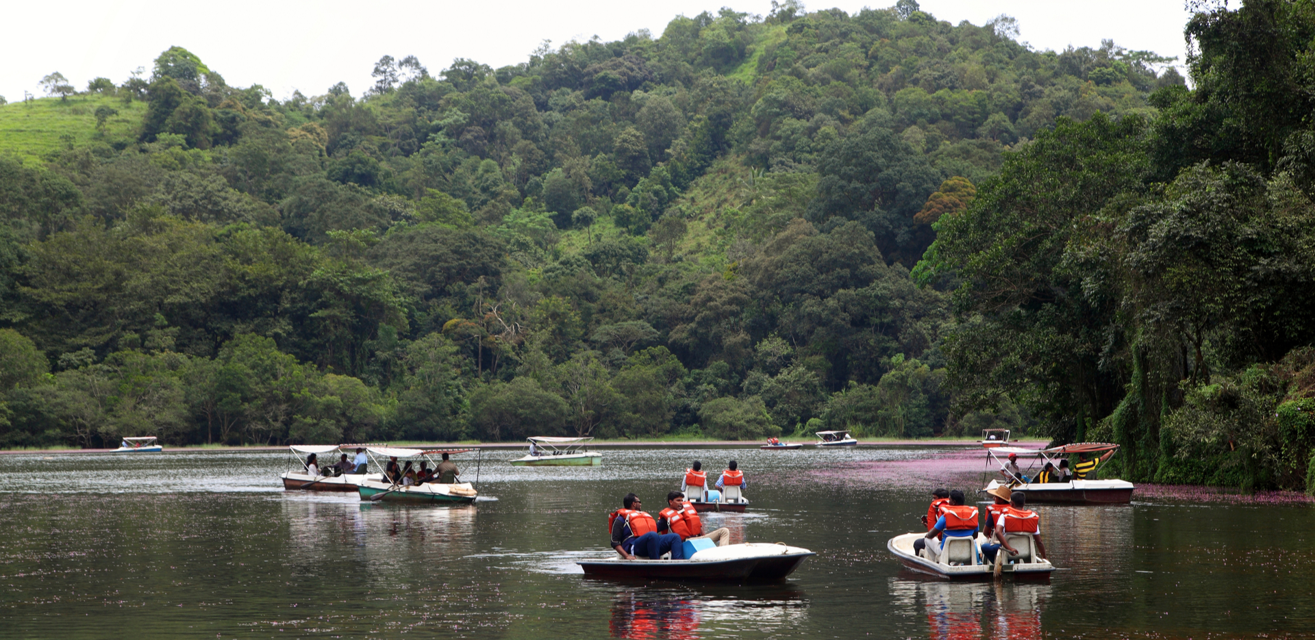 tourists boating in Pookode Lake