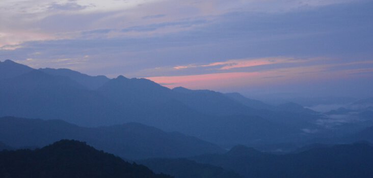 A Guide on Wayanad in Monsoon