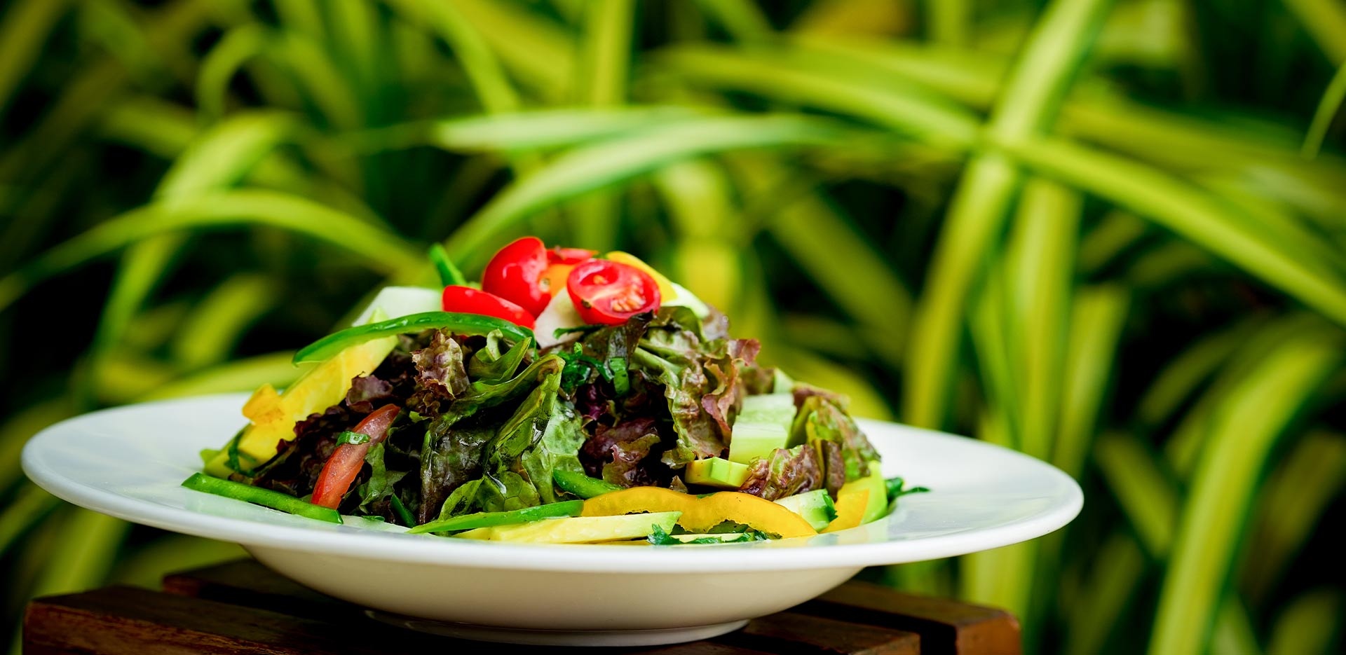 Avocado Cucumber and Coriander Salad Recipe