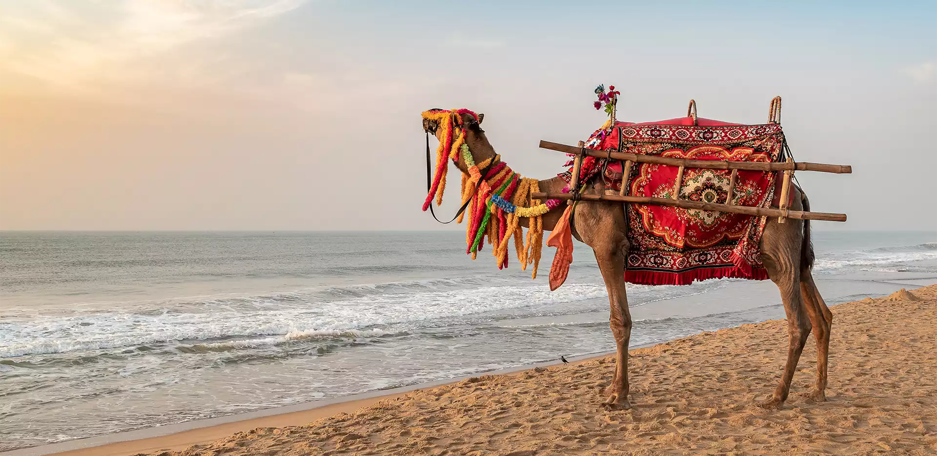 Popular Beaches in Odisha