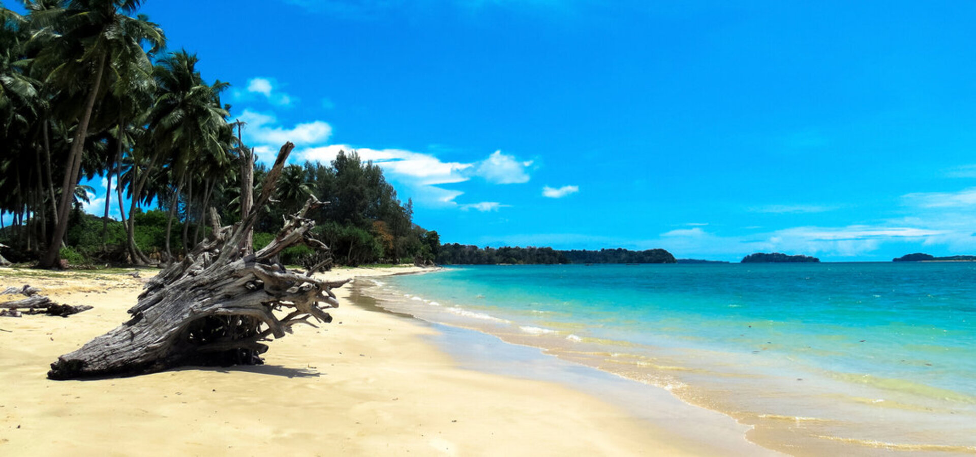 The Best Islands in Andaman &amp; Nicobar that You Must Explore