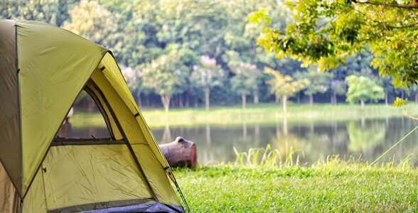 Camping in Coorg, Karnataka