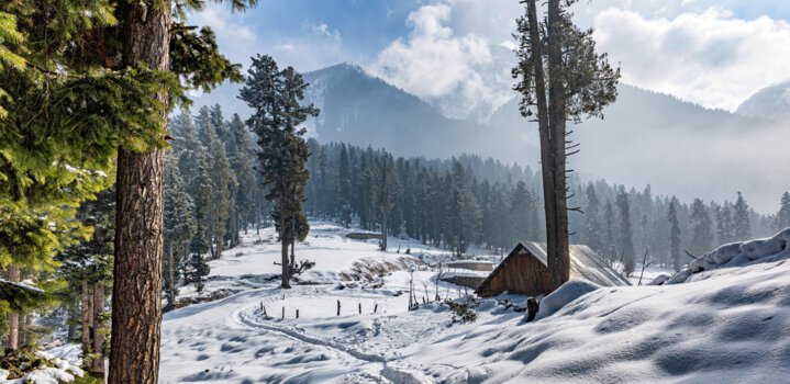snowfall in kashmir