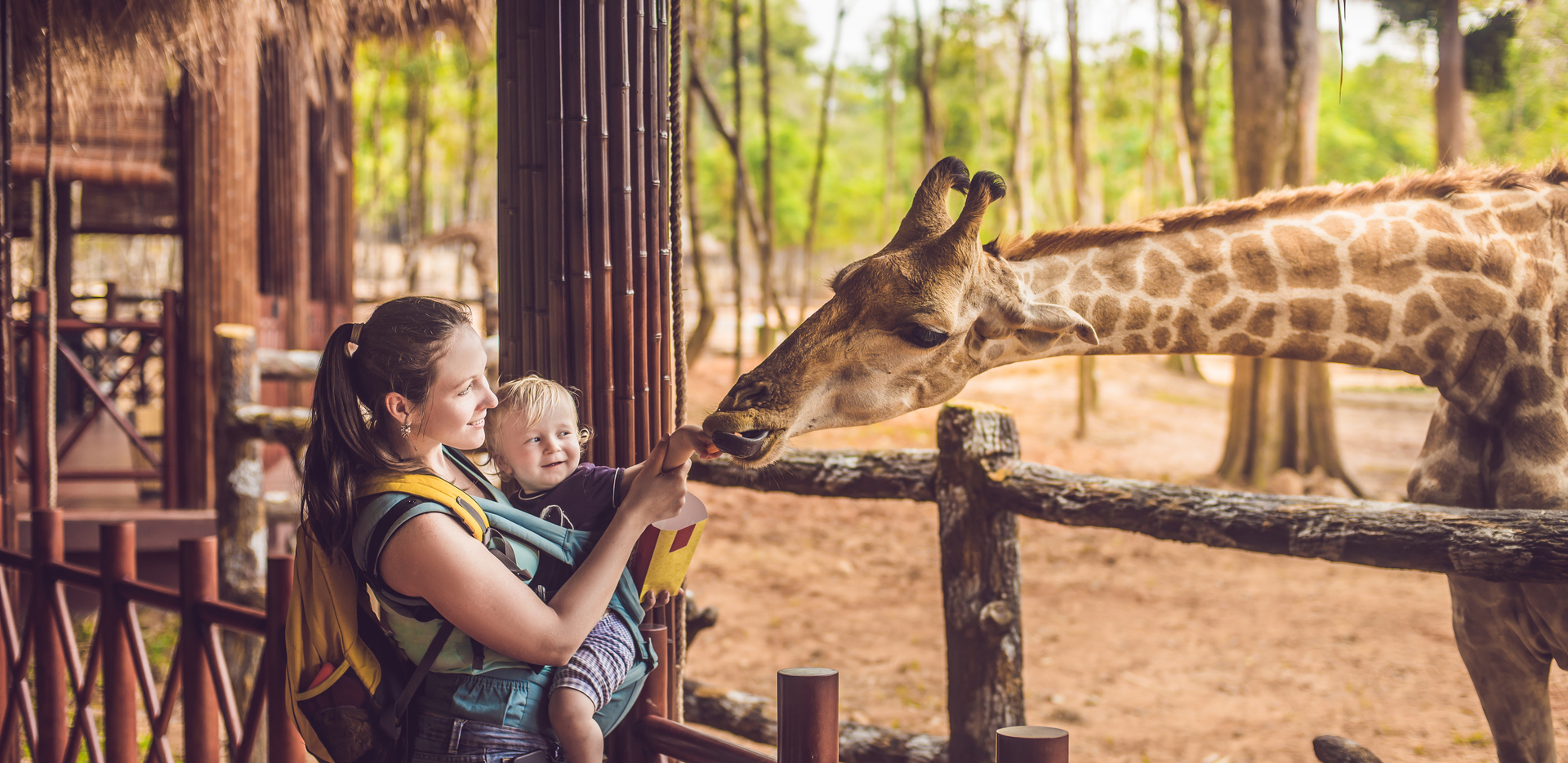 Wildlife Family Holiday