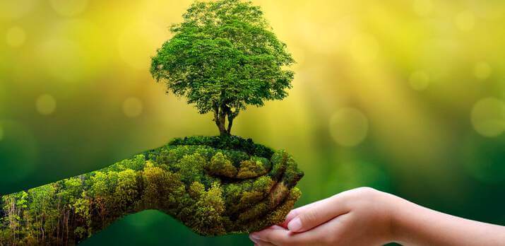 World Conservation Day