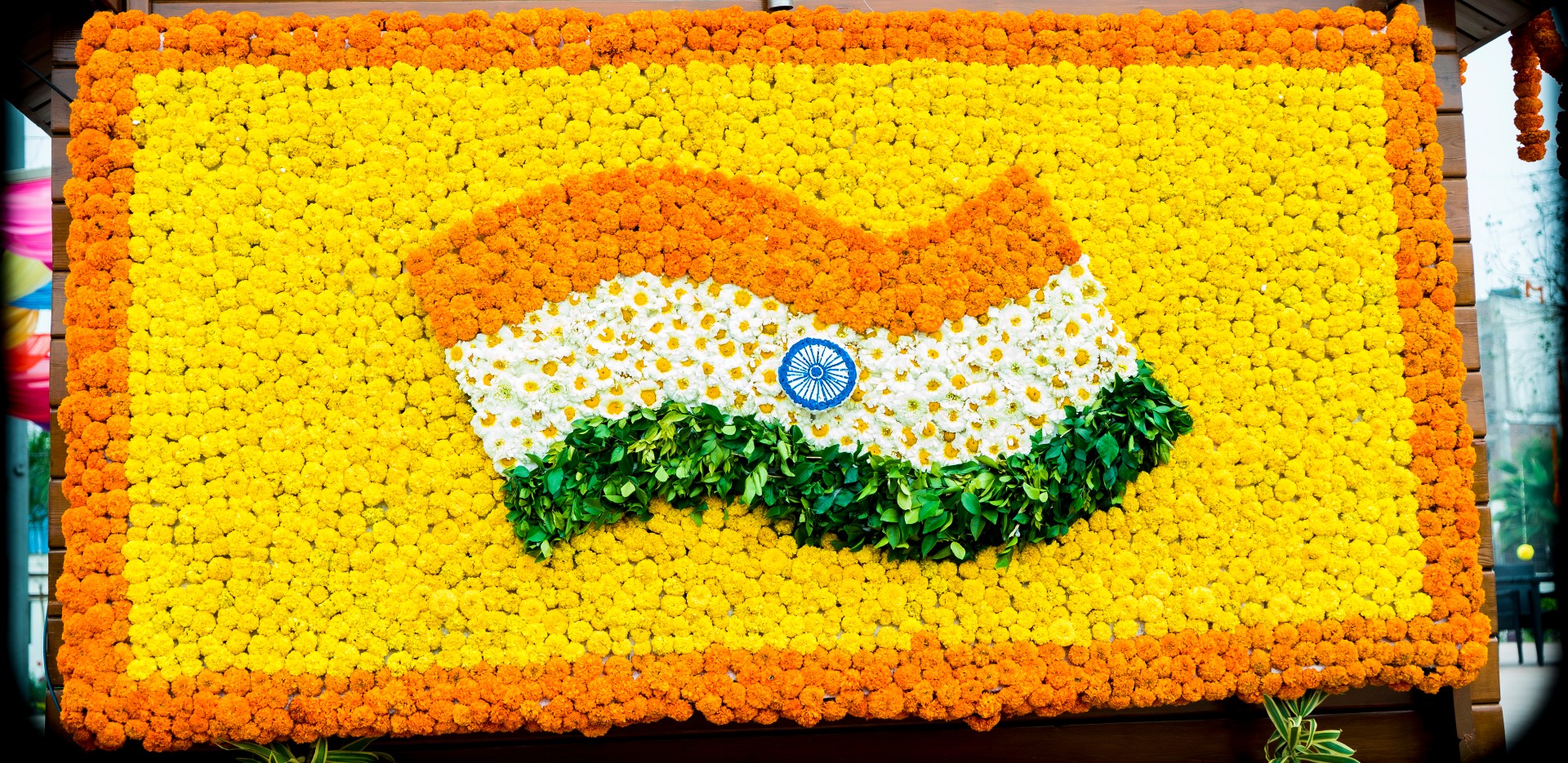 Plastic-Free Independence Day celebration