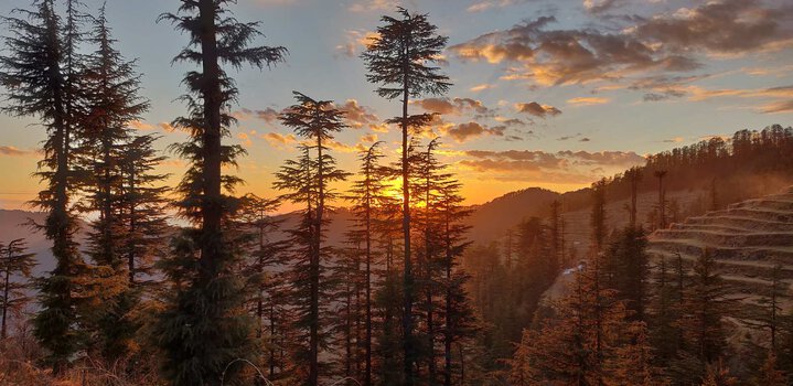 Hill Stations near Chandigarh