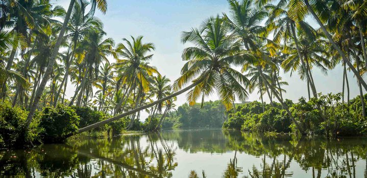 How to reach Poovar