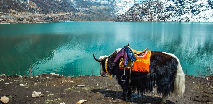 Best Places to Visit in Sikkim That Will Leave You Mesmerised