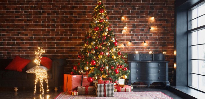 Christmas Celebration at Home