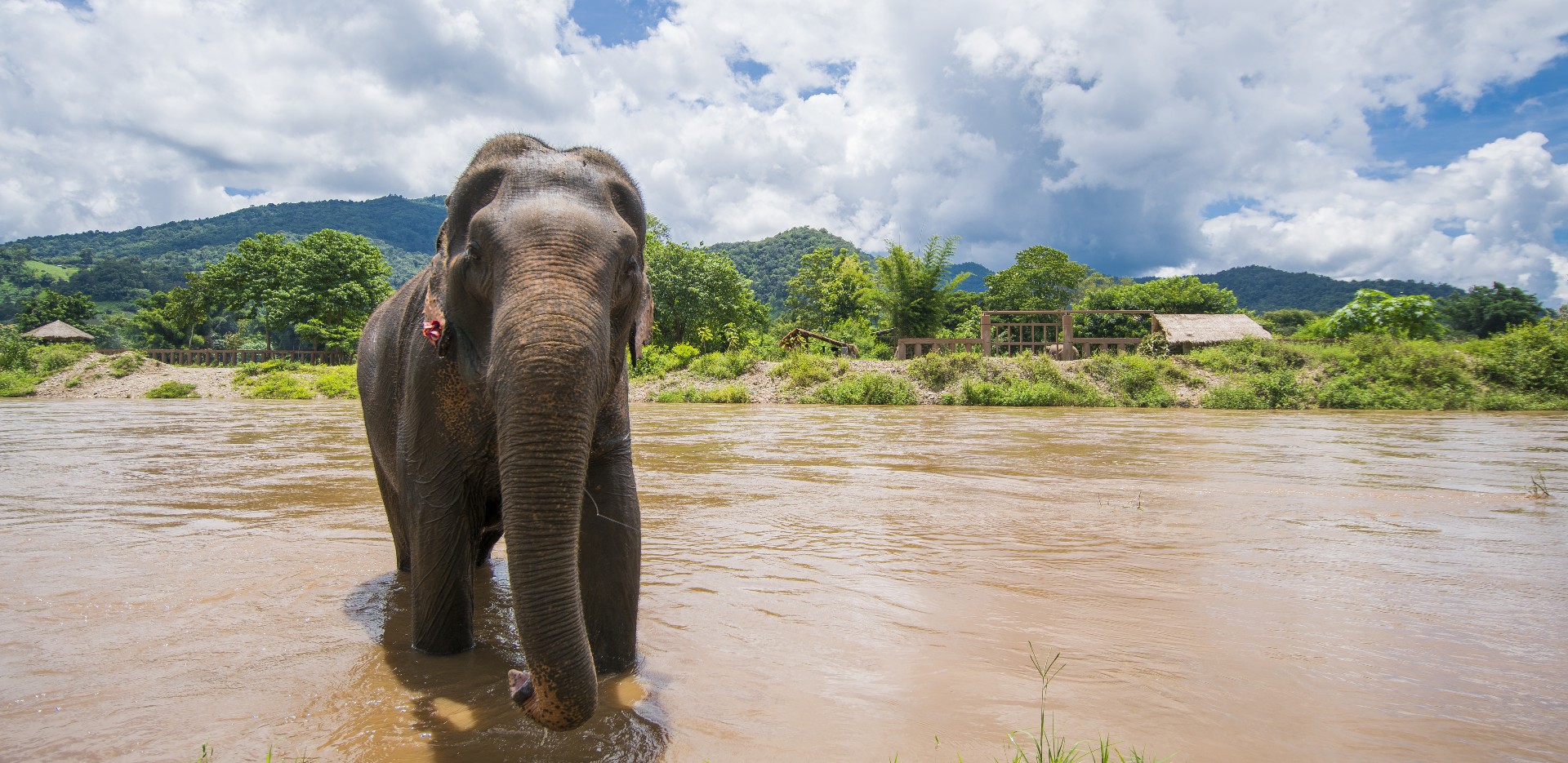Periyar National Park