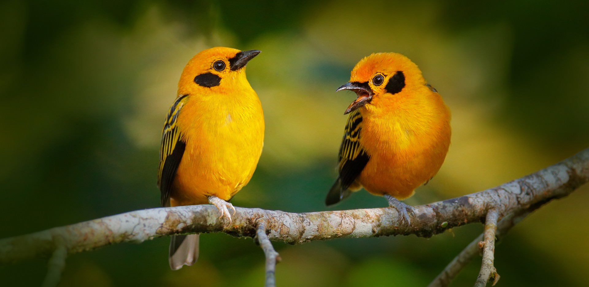 spots for bird watching