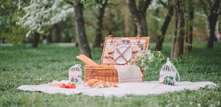 Top 10 Picnic Spots in India